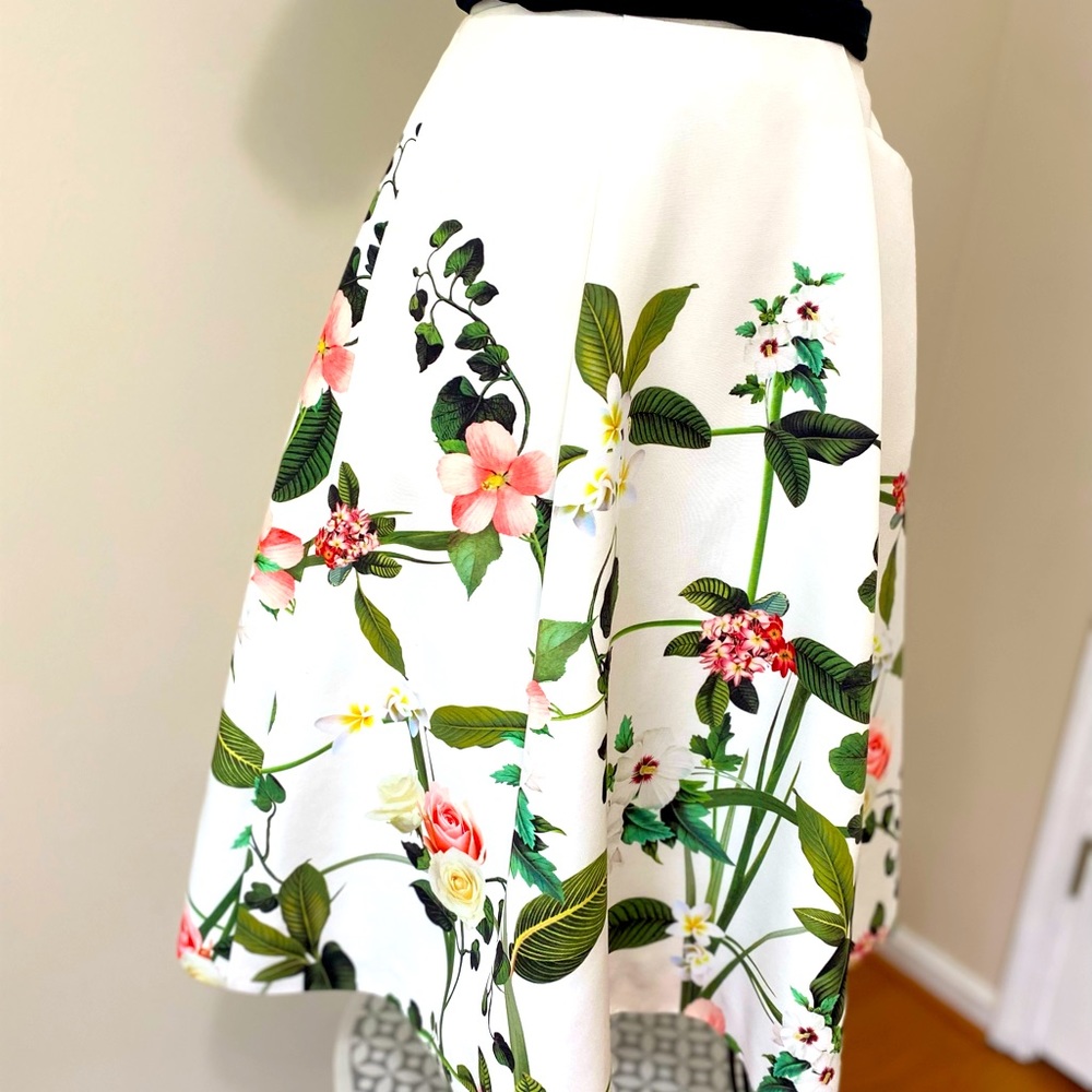 Ted Baker Skirt, size 0, like new
